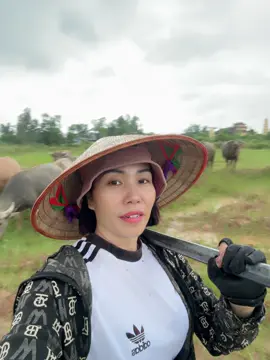 Mát đầu lắm à nha