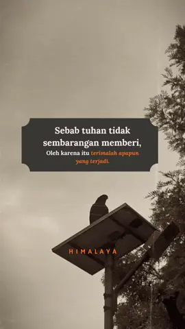 #sepucukkata #himalaya #xybca 