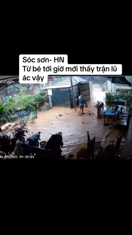 Hậu quả của phá rừng phòng hộ?