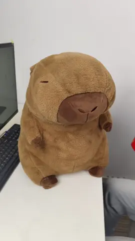 #foryou #pillows #tiktok #capybara 