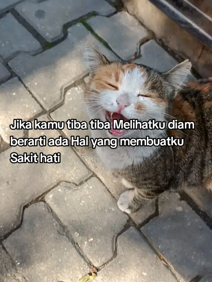 #fyppp #xyzabc #katakatagalau #katakatasad #masukberandafyp 