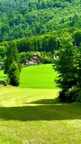#سويسرا 🇨🇭#اوربا 🇨🇰 #الهجرة_الى_اوروبا🇪🇺  #اوروبا 🇨🇰#