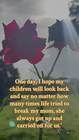 #caribbeantiktokeurs🔥 #fypシ゚viral🖤tiktok☆♡🦋 #🧿 