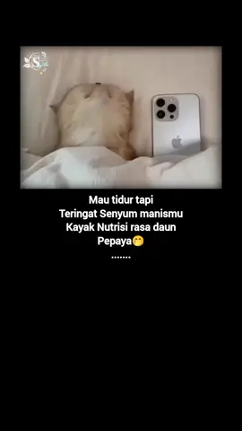 #sekedar_hiburan #®yn