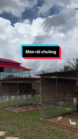 Có men này vẫn êm nha anh em #tinfarm @Tinfarm shop 