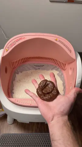 What happens when your cat goes poop in the petpivot? #cats #litterbox #catlitter #automaticlitterbox #tiktokshopcreatorpicks 
