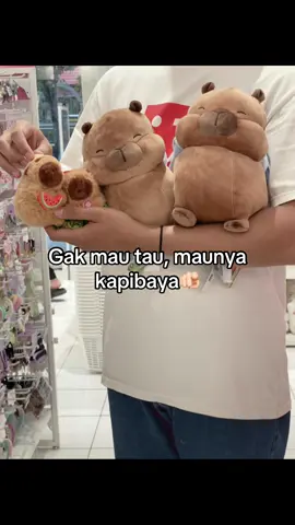 Rekomendasi hadiah buat doi 🫵🏻🫵🏻 #minisoidgoodthing #belanjadiminiso #minisoweekid #kapibara #boneka #fyppppppppppppppppppppppp #fyp #fypシ゚ 