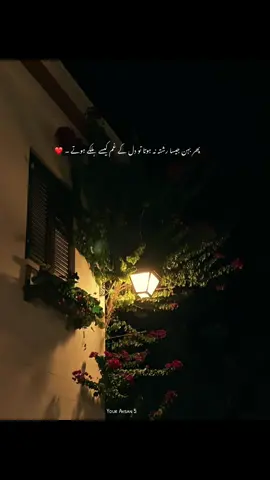 Thank You So Much ( 😭❤️‍🩹🫶🏼 ) #mation_your_sister💓💓🤗 #lovesister #mysisterlov #mhahsan5 #newaccounnt😭 