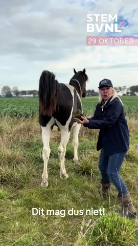 Wil jij je paarden/koeien kunnen houden? Stem op BVNL! #bvnl #fyp #fy #verkiezingen2025 #poep 