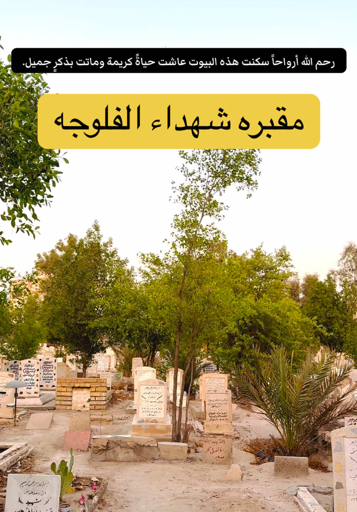 رحمهم الله جميعآ وغفرلهم 💔 #والدي #رحمك_الله_يا_فقيد_قلبي😭💔 #شهداء_الفلوجه 