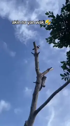 akin na yan wak 🤣