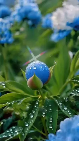 #Sayangi_Wanita🌺🌹