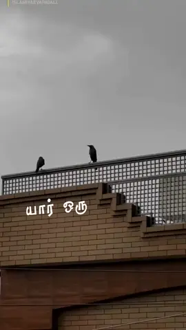 🥰மற்றவர்களின் குறையை நாம் மறைத்தால் நம்முடைய குறையை அல்லாஹ் மறைப்பான்🥰🥰🥰#Allah#nabimuhammad_saw🕋🕋 🥰