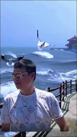 #CapCut 