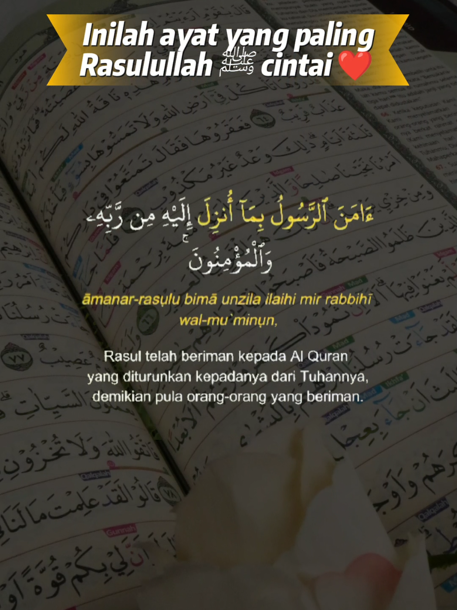 “Inilah ayat yang paling Rasulullah ﷺ cintai ❤️” Surah: Al-Baqarah: 285–286 #alquran #hadits #murottalquran #kajianislam #fyp 