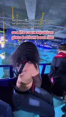 The new SEA LIFE COEX Aquarium is waiting for you! 🐡🐟🐠 The glass-bottom boat ride is not to be missed! I never thought I’d be so up close and personal with so many different sharks, turtles and stingrays 🦈 🐢 🐬🪼🦭 Also check out the media art areas and themed zones around the aquarium 🐠 #sealifecoexaquarium #rebranding #grandopening #visitseoul #seoullife seoul winter itinerary | south korea places | seoul where to go | southkoreaguide | fun activities in seoul