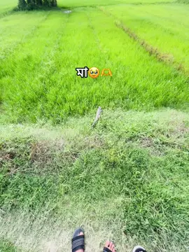 এই শহরে নেই মায়ের মতো চাঁদ!🥹❤️🩹 #outfit cowok berwerna #foryoupage #fyp #unfrezzmyaccount🙏 #viralvideo @TikTok Bangladesh 