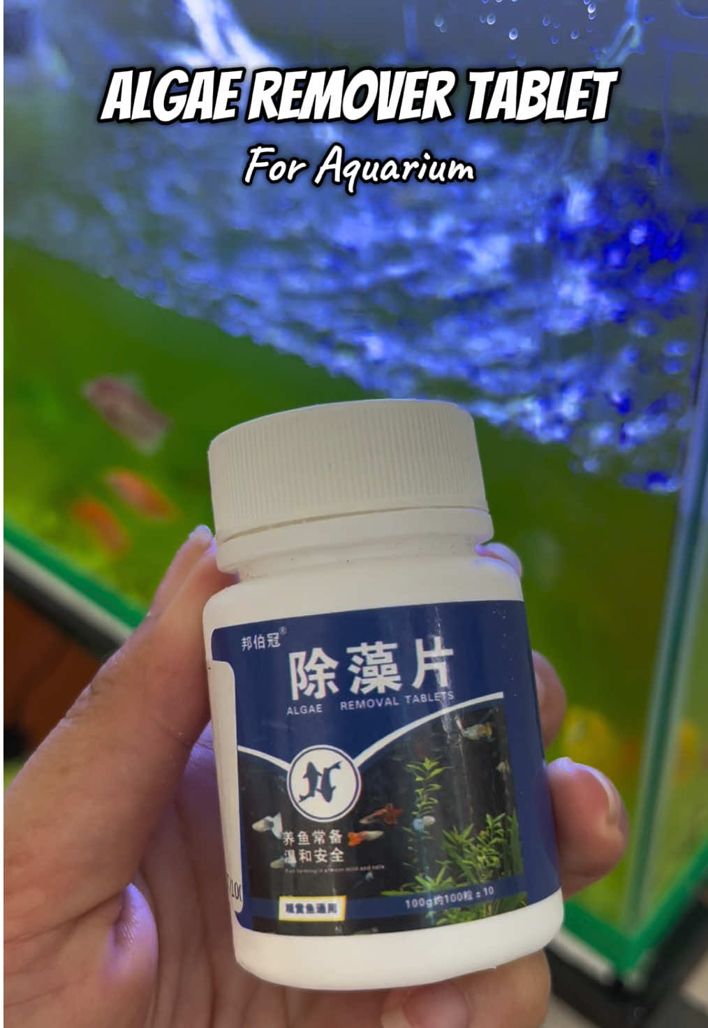 Algae remover tablet for aquarium para iwas mukhang fish pond dahil sa algae. Very safe to for fish. #algaeremover #aquariumcleaner #aquariumcleaning #PetsOfTikTok 