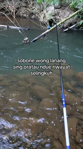 #fypmancing #storymancing #microfishing #mancingliar #exploer 