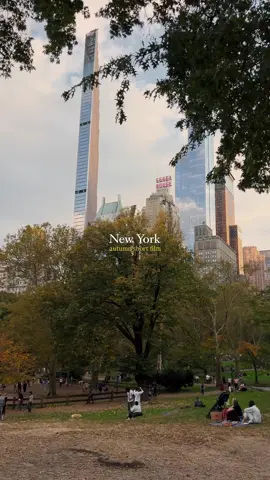 pov: you’re visiting New York this fall 🍂🍁 Captured by Cinema SB Autumn in New York #newyork #nyc #newyorkcity #cinemasb 