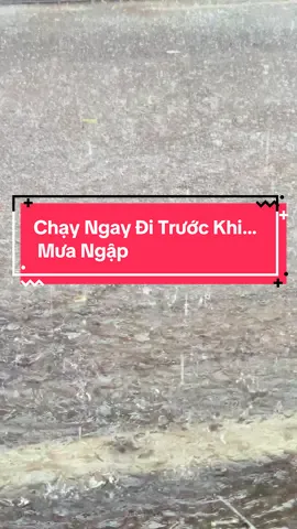 Chạy ngay đi 🐀 #bãobualoi #trendingtiktok #xemay165c_phunghunghoankiem 