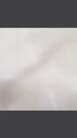 今回のモカ可愛いすぎない？笑直視できない笑#illit #moka #ハーゲンダッツ #歌詞 #fyp 