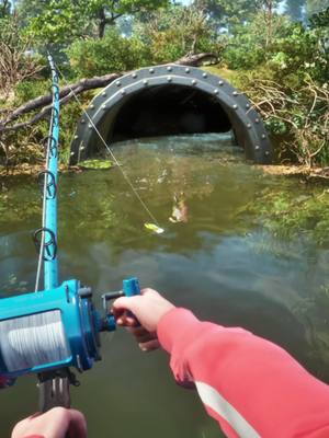 Let's go fishing and collect rare fish of all kinds!