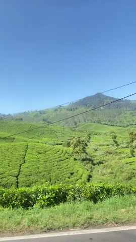 Secandu itu🍃#xyzbca #foryourpage #ciwideybandung 