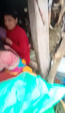 #गोठालो को जिबन 🥰🥰