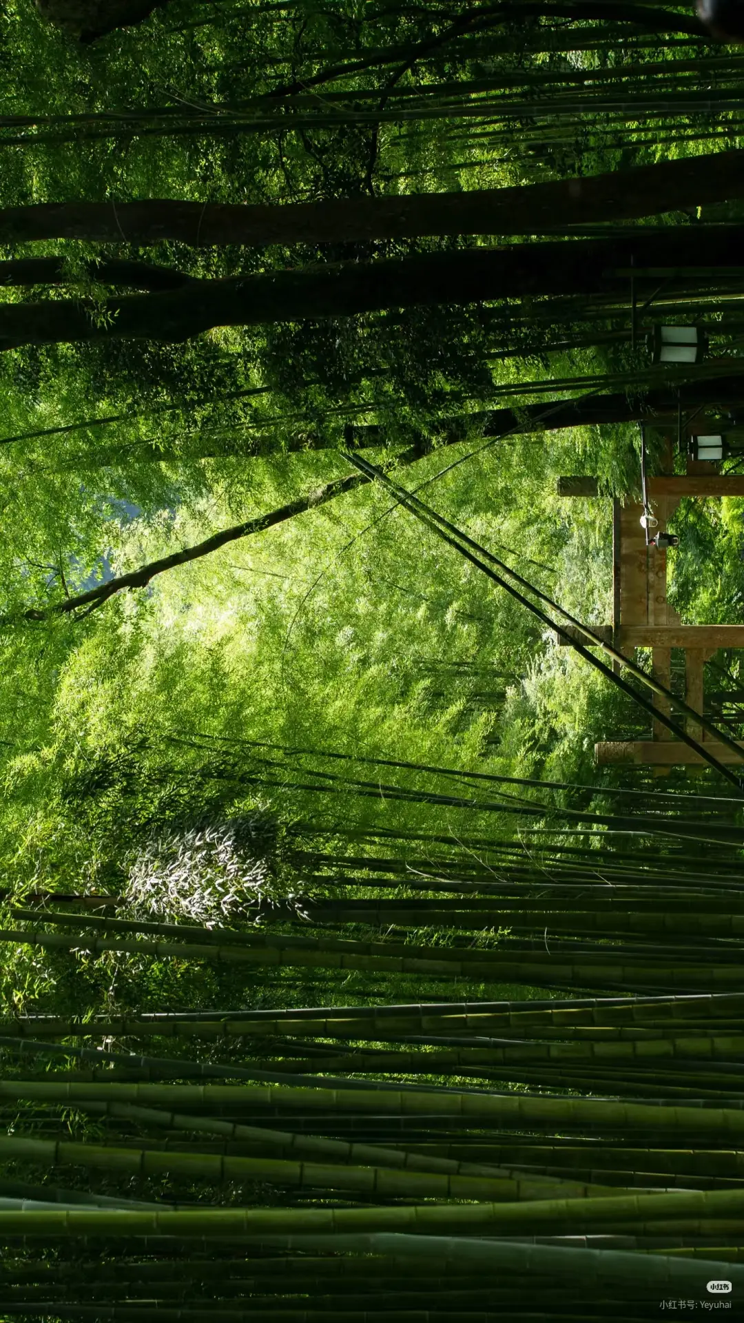 |30-9-2025| • #Free🍂. #来拍照了 