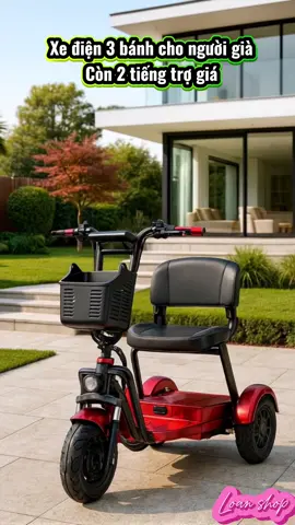 Xe điện cho người lớn tuổi viral #xuhuong #re #xedienchonguoilontuoi 