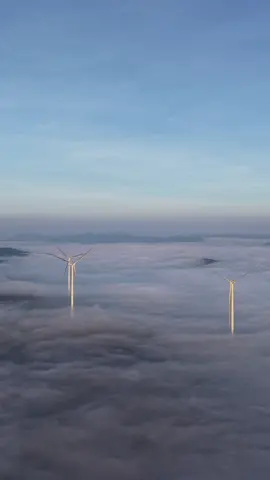 Trong tương lai các bạn sẻ ước gì với người mình thương..#sanmaydalat #toursanmaydalat #phuocvosanmay #xh 