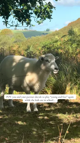 There’s something about dropping the kids off, jumping on the bike and finding the most beautiful views🥹❤️ #mumanddad #Relationship #walk 