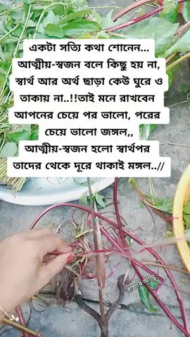 #রাফার আম্মু #fyp  সাপোর্ট করলে সাপোর্ট পাবেন সব সময় ইনশাল্লাহ,#for you #for you page 