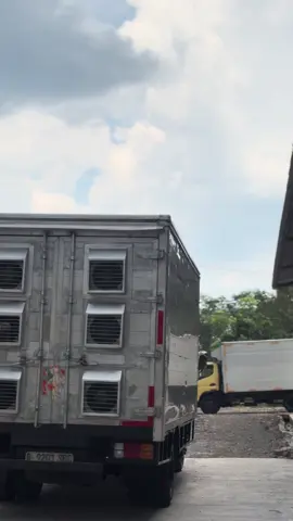 Setelah sekian purnama #peternakmuda #ayambroiler #ayampedaging #peternakanayam #peternakan 