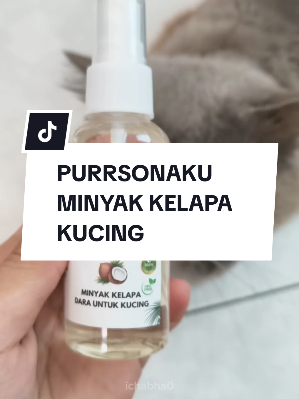 Bulu gugur? Kucing tak berselera? 🐾 Pakai Purrsonaku VCO – bulu jadi lebat, sihat & kucing makin ceria 😻💕 #purrsonaku #purrsonakuvco #minyakkelapadarakucing #minyakkelapadara #vco 