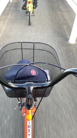 syahdu #imjapan🇯🇵 #kenshuseijapan🇮🇩🇯🇵🎌 #foryou #fyp 