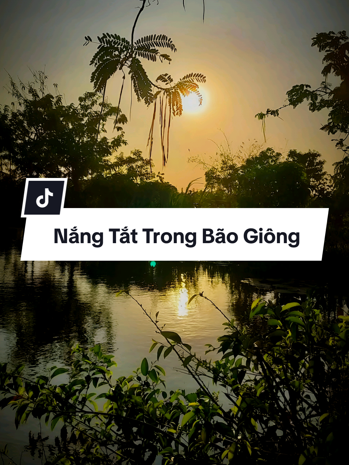 #nangtattrongbaogiong #buiphilong #vieentmusic #nhactinhsaulang #SBKteam 