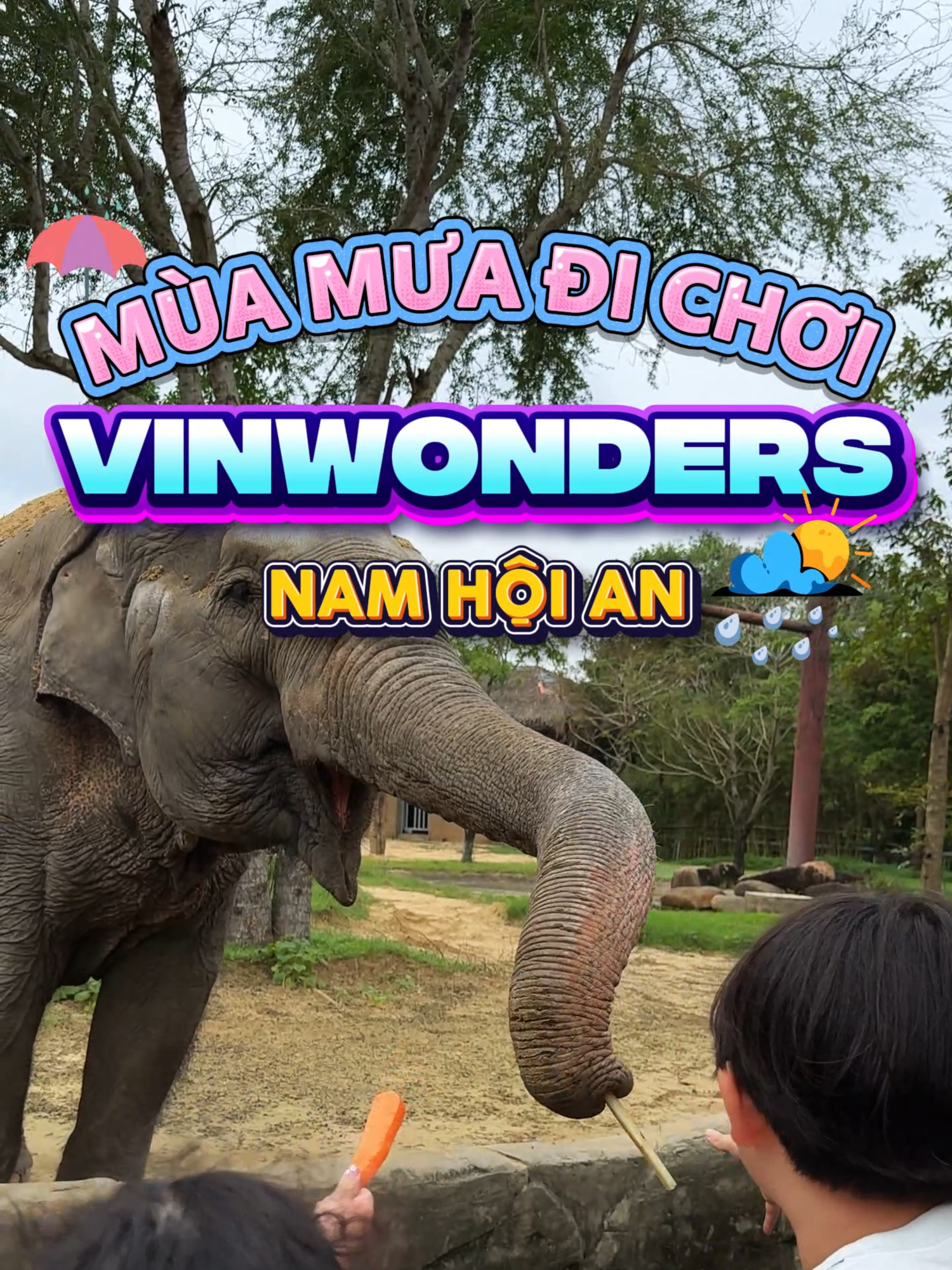 Trời mưa thì chơi gì tại vinwonders nam hội an đây ? Xem hết clip để biết thêm nhé ! #vinwonders #travel #danang #vinwondersnamhoian #vietnamvinwonders #tipsdulich #xuhuong