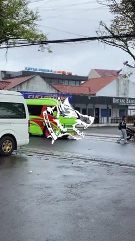 CAHAYA TRANS  @ary dinar fauzi #elfmania #elfmaniacomunityindonesia #pariwisata #elfmaniacintaindonesia #supirmuda 