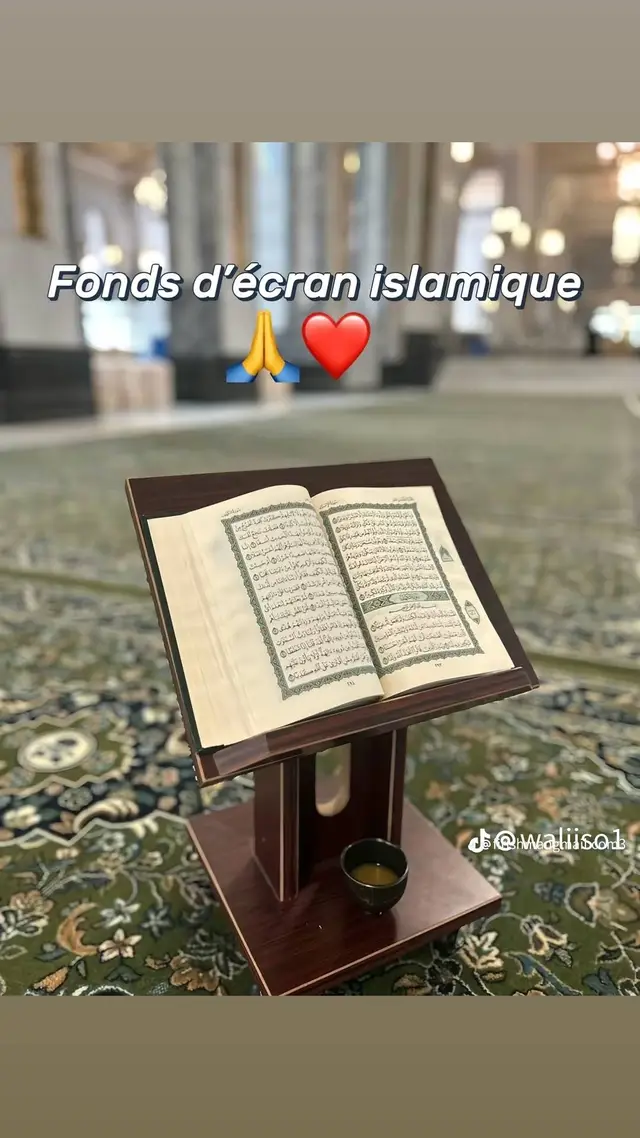 ABDIKADIR  🕋 🕋 🕋 🕋 