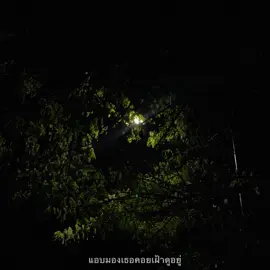 แอบมองเธอคอยเฝ้าดูอยู่😢🩶#เธรดเพลง #รับโปรโมทเพลง #ยืมลงสตอรี่ได้ #fypシ゚ 
