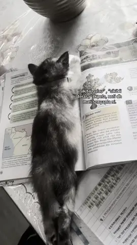 nnti tk rimas da😓 #fypage #xyzabc #qoutes #bismilahfypamin #hurtmyfeelings 