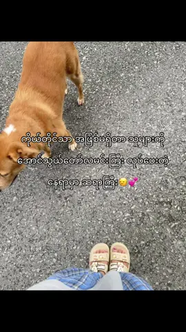 ဆရာကြီးလေ ဟား”🙂‍↔️💕 #foryou #fyp 💐