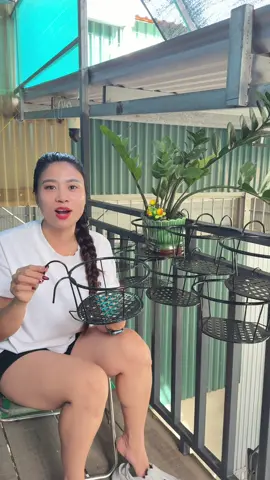 🌸 Biến ban công, cửa sổ thành khu vườn mini! Combo giá kệ treo cây, chắc chắn – đẹp bền lâu. #giakecay #xh  #khonggianxanh