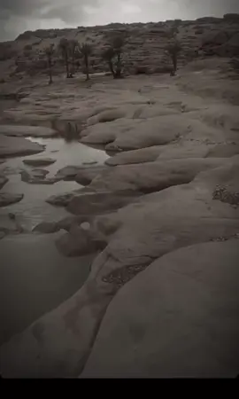 اسمع معي ذا الرساله