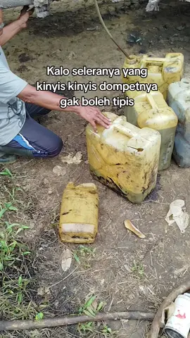 #masukberanda #haulingsde #storytambang #tambangbatubara  #storywa 