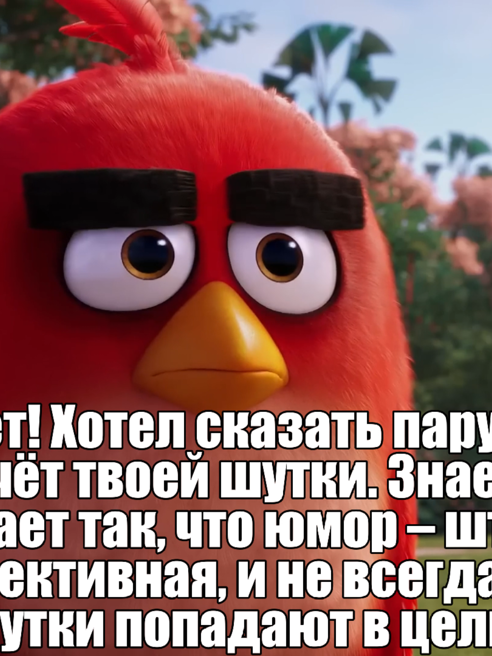 ‎‼️тгк с этой гифкой в шапке  ‎профиля‼️ ‎видео сделано только чтобы поднять  ‎улыбку и настроение. ‎#videoforyou #viral #gif #tvshow #angrybirds 