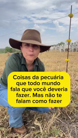 Cerca elétrica de baixo custo e que funciona muito bem! Sem desculpas pra não fazer rotacionado! #agronegocio #pecuaria #fazenda #gestaopecuaria 