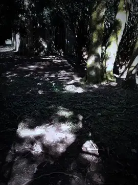 what would it be 🤔 #fyppppppppppppppppppppppp #viral_video  #followme❤🎼 #fyp  #fyppppppppppppppppppppppp 